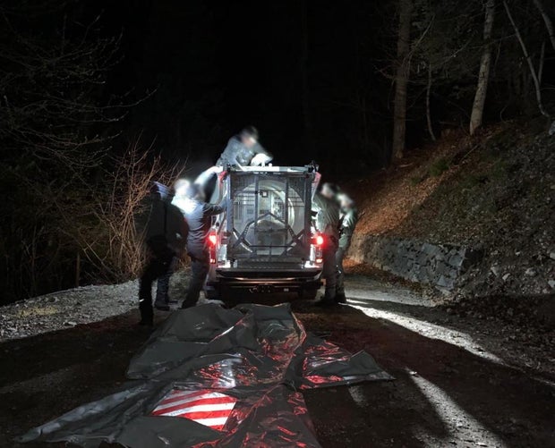 A mother bear accused of attacking a hiker was killed in Italy. Activists say her cubs may not survive.