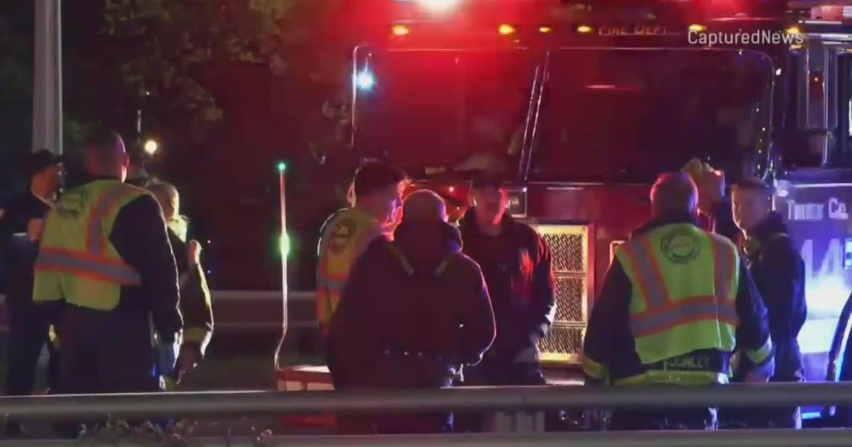 Pedestrian killed in DuSable Lake Shore Drive hit-and-run - CBS Chicago