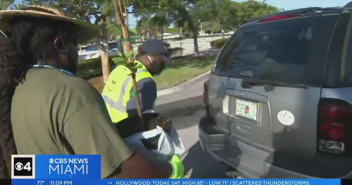 South Florida celebrates Earth Working day with tree giveaways, habitat restoration