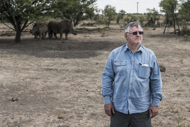 Private Rhino Farm In South Africa 