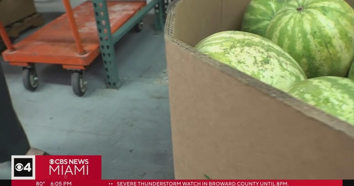 Pantry of Broward County affected by historic floods CBS Miami