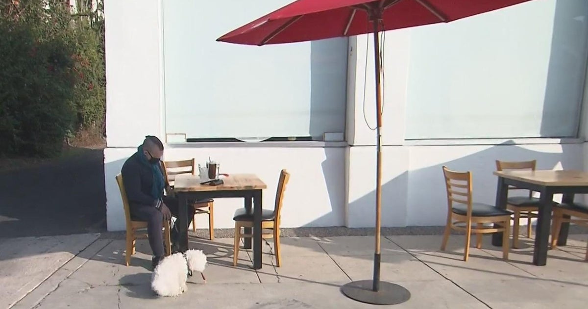 FDA Dogs safe to join outside dining CBS Sacramento