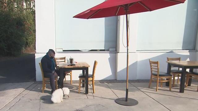 FDA: Dogs safe to join outside dining 