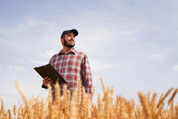 Portrait of a caucasian man standing on his wheat field, holding a notepad and looking at his crop. 