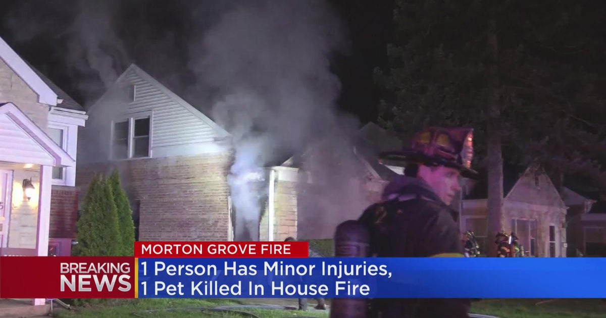 1 person injured, pet killed in house fire in Morton Grove - CBS Chicago