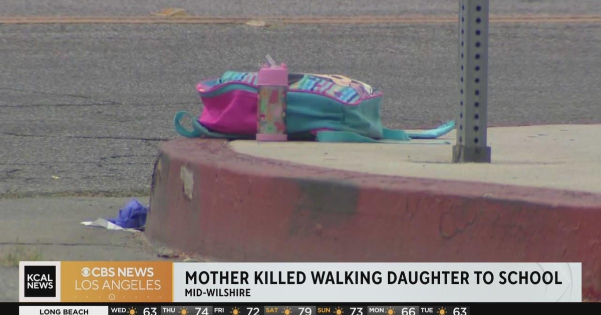 Investigation continues after mother killed while walking her daughter ...