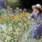 Tips for dealing with allergies as the season gets longer
