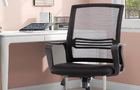 Inbox Zero mesh chair 