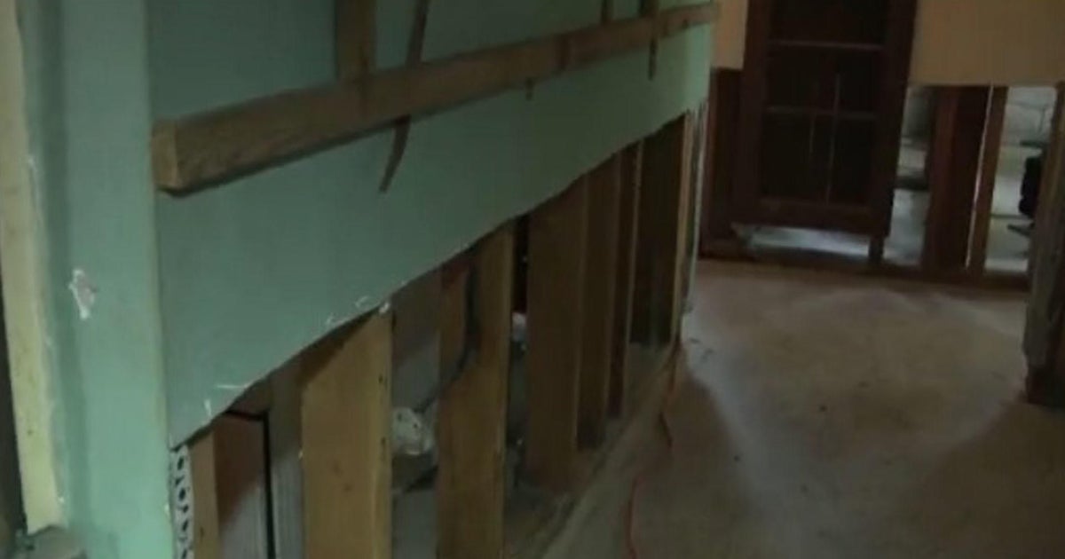 Broward property owners face mold worries soon after torrential rainfall