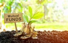 what-is-a-gold-mutual-fund.jpg 