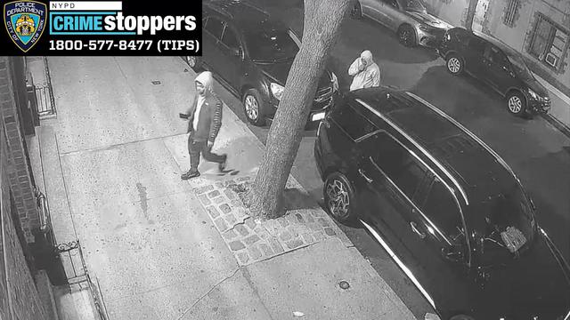 bronx-robbery-pattern-a-wcbs6qak-hi-res-still.jpg 