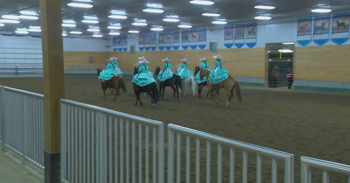 Equine experiences on display at Minnesota Horse Expo CBS Minnesota