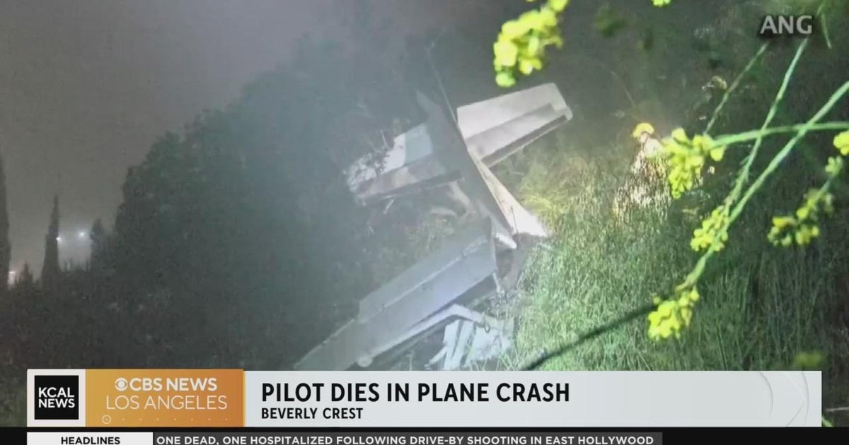 Federal authorities to investigate fatal plane crash in Beverly Crest ...