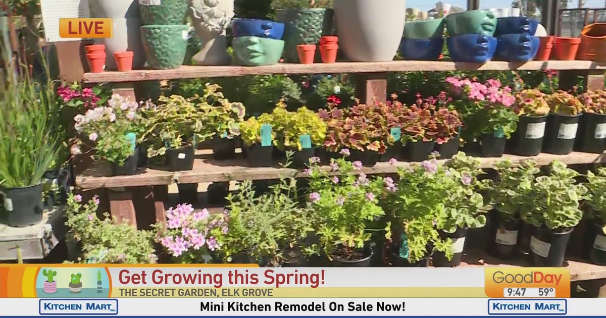 Spring Garden Faire - Good Day Sacramento