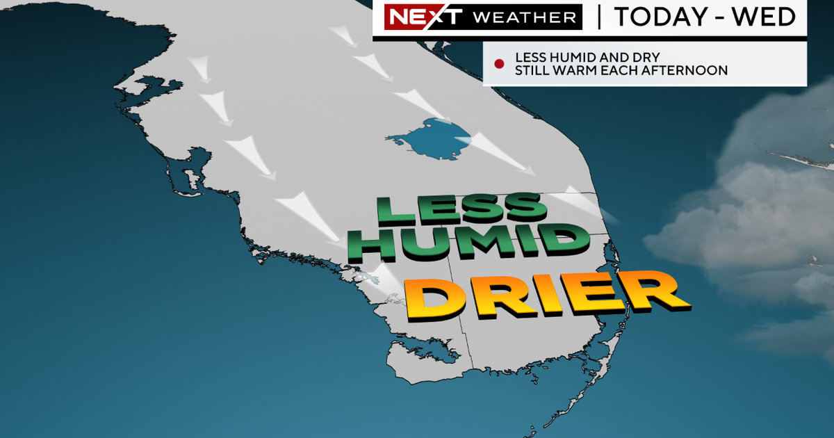 Miami Weather: Plenty of sun, less humid