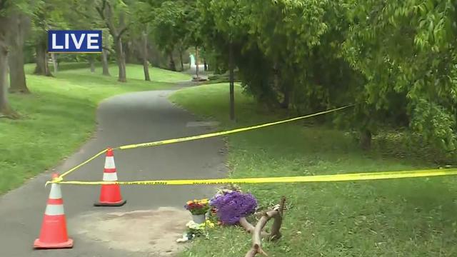 Davis police are investigating 2 deadly stabbings 