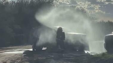 Honey bees fly to the hive 