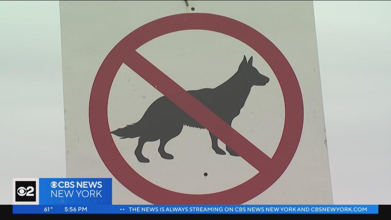 Who kicked the dogs out? Dogs no longer allowed at Haggin Oaks Farmers  Market