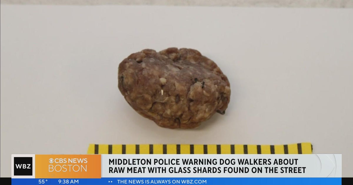 Dog walkers warned about raw meat with glass shards found on street