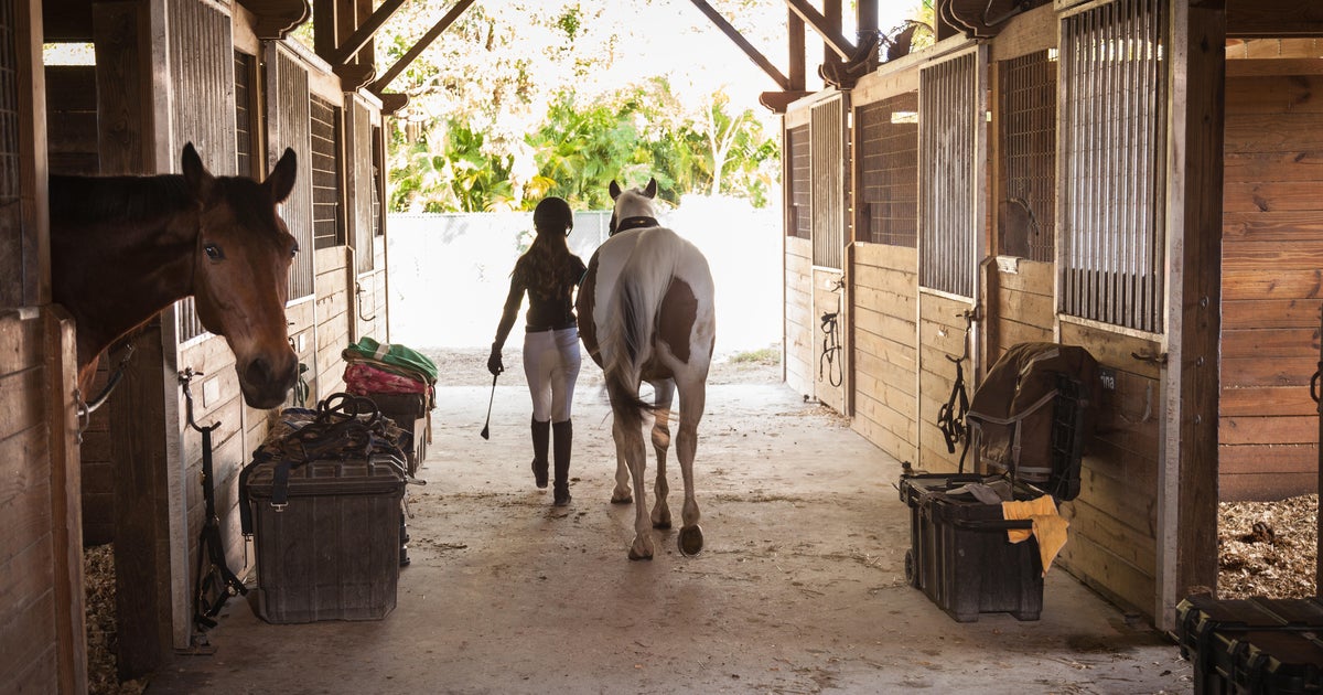 Teenager dies after horse falls on her head all through equestrian competitiveness in Florida