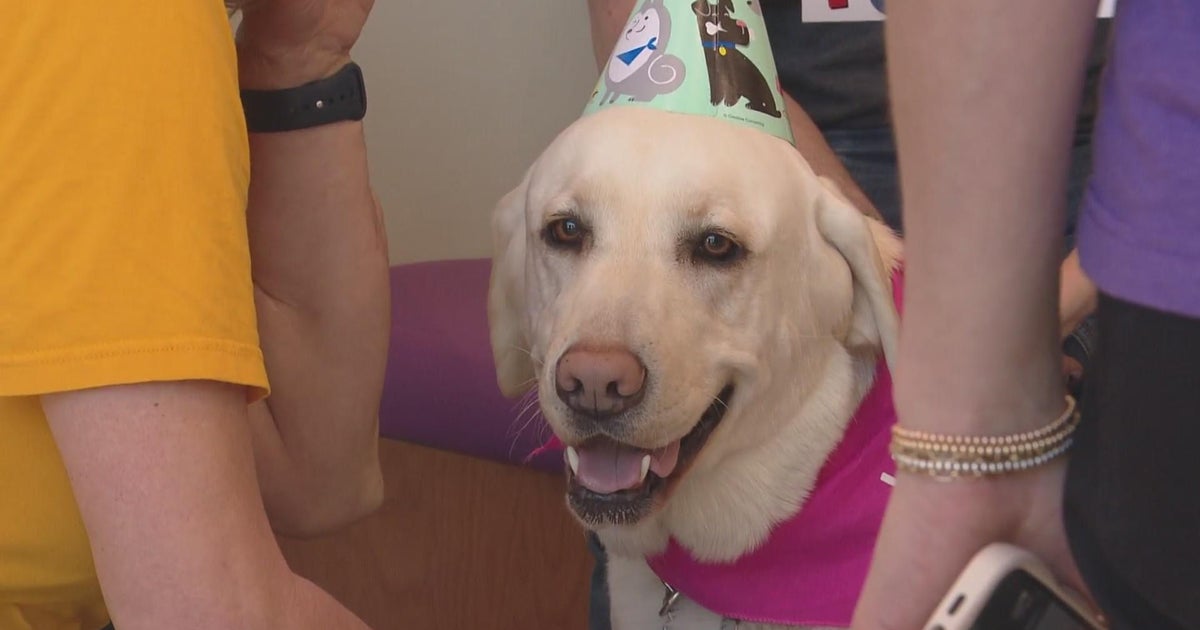 Gotcha Day celebrated at Rocky Mountain Hospital for Children - CBS ...