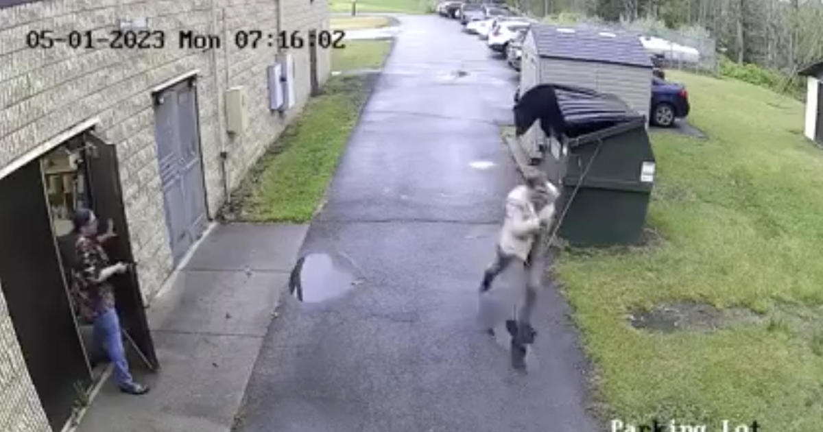 Watch: Principal sprints away after bear jumps out of dumpster behind West Virginia school