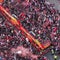 Wrexham AFC celebrates soccer title with parade