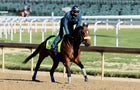 Morning training for the Kentucky Derby at Churchill Downs on May 03, 2023 in Louisville, Kentucky. 