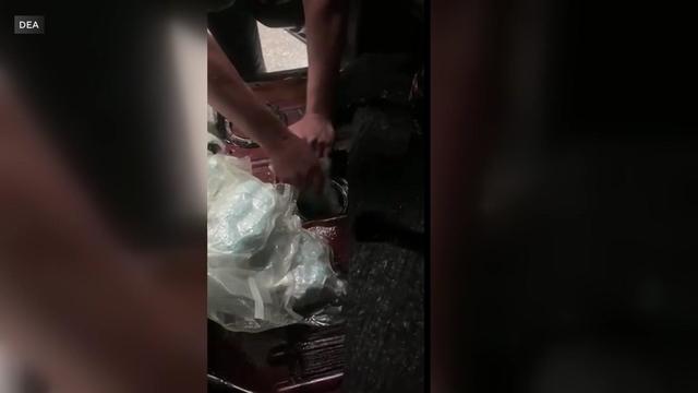 A DEA agent pulls bags of fentanyl out of a car's gas tank. 
