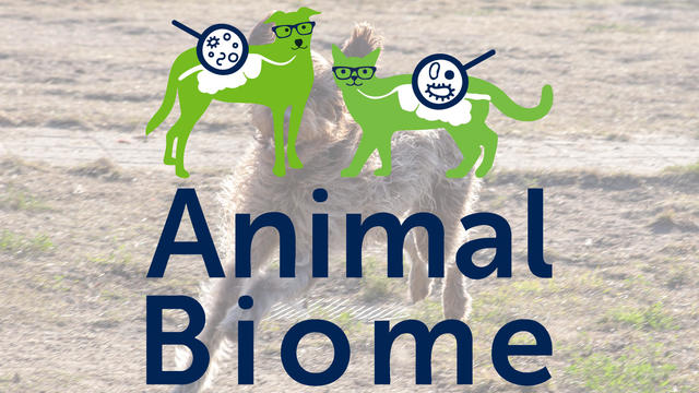 animal-biome.jpg 