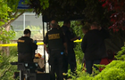 uc-davis-stabbing.png 