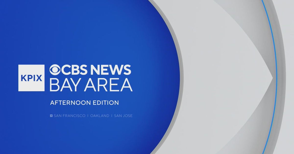 Pedestrian critically injured during Homeland Security