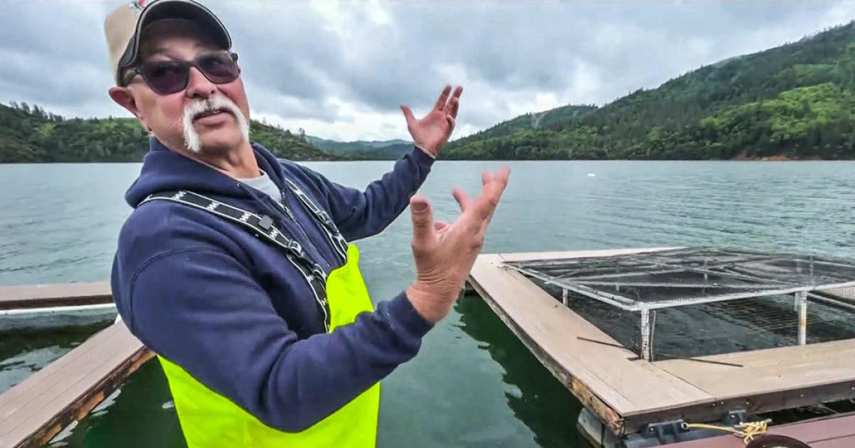 Shasta Lake nearly filled to the brim following remarkable winter ...