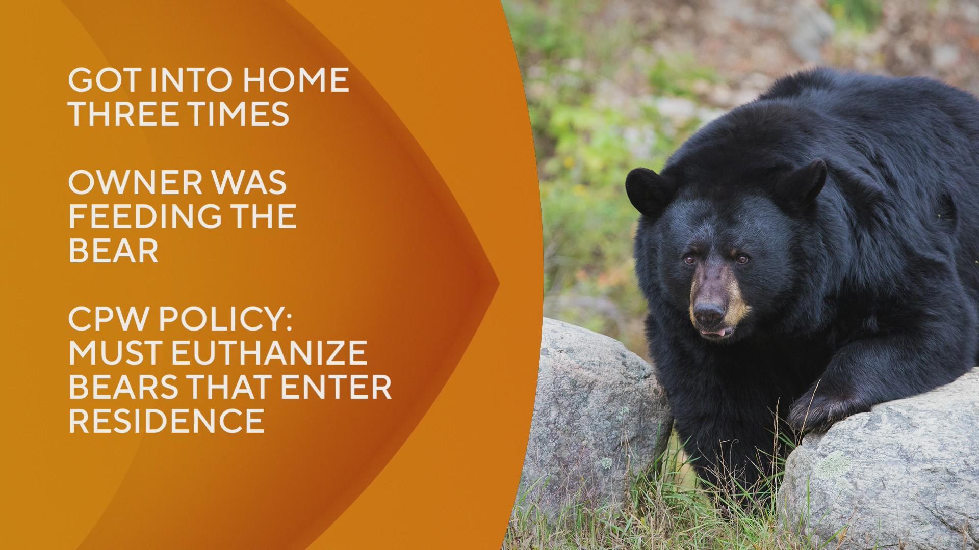 How to Help Keep Wild Bears Alive in Your Own Neighborhood - CMZoo