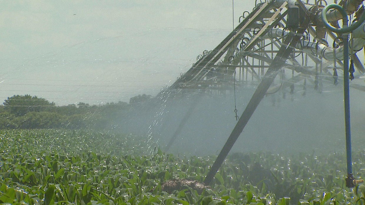 USDA and Colorado team up to encourage water conservation CBS Colorado