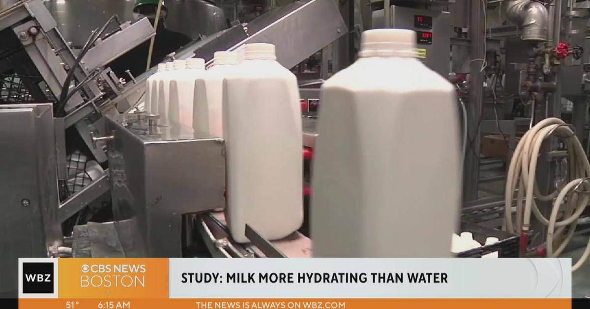 Milk is a better drink for hydration than water, study finds