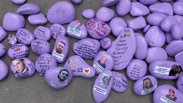 Dozens of purple rocks, some with writing and photos on them. 