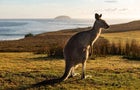 Australia's East Coast Gets Into Summer Mode 