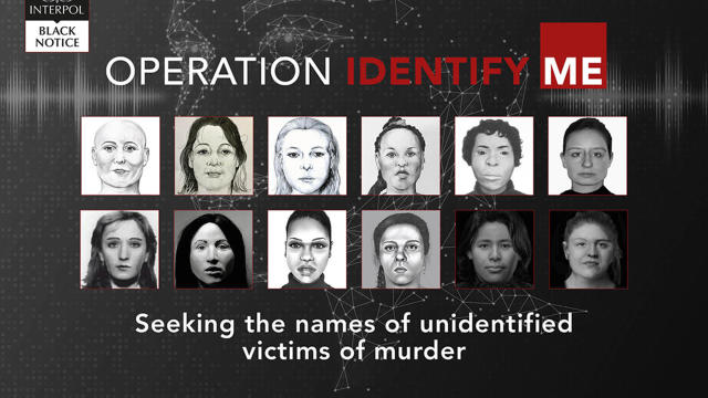 Interpol Dead Women 