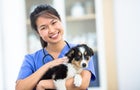 why-puppies-need-pet-insurance.jpg 