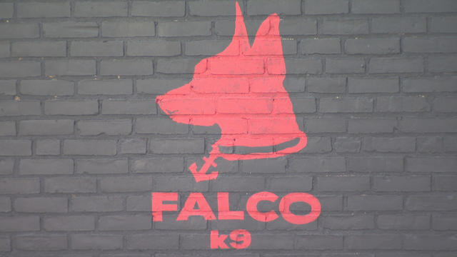 Falco K9 