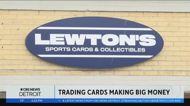 lewtons-sports-cards.jpg 