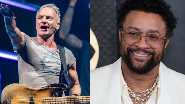 Sting and Shaggy collage 