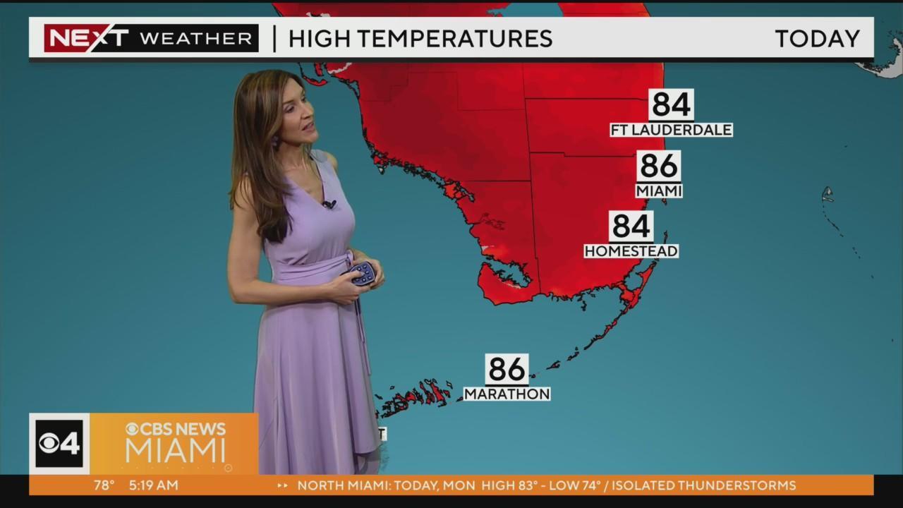 Miami Weather Girls