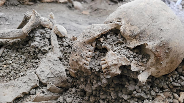 Italy Pompeii Skeletons 