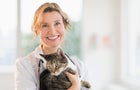 want-the-best-pet-insurance-for-your-cat-do-this-now.jpg 