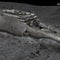 New digital scans of the Titanic reveal unprecedented views of shipwreck