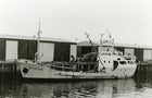 00a-mv-blythe-star-queen-victoria-museum-via-auchd.jpg 