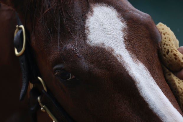 Preakness Horse Racing