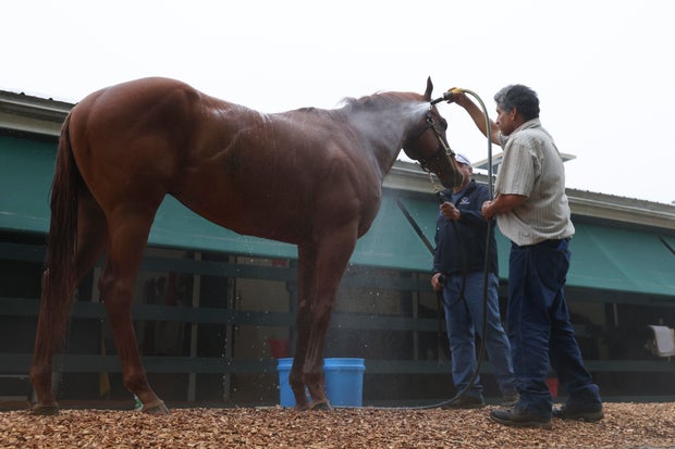 Preakness Horse Racing